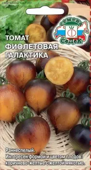 Томат "Седек" Фиолетовая Галактика 0,1г