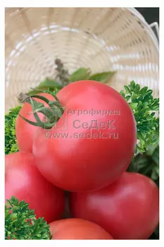 Томат "Седек" Кукла Маша F1 0,05г