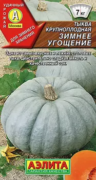 Тыква "Аэлита" Зимнее угощение 1г