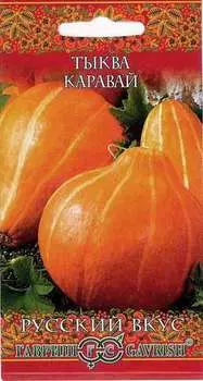 Тыква "Гавриш" Каравай 2г