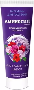 Удобрение "Аминосил" Витамины для комнатных цветов паста 250мл