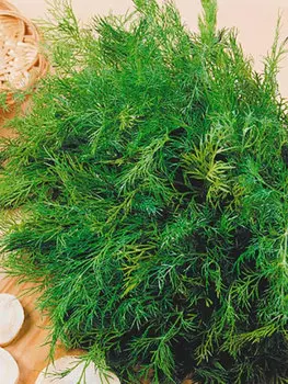 Укроп "Аэлита" Супердукат ОЕ 2г (Б/П)