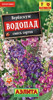 Вербаскум "Аэлита" Водопад смесь 0,1г