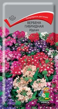 Вербена гибридная "Поиск" Идеал 0,2г
