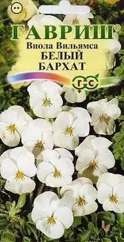 Виола Вильямса "Гавриш" Белый бархат F1 5шт