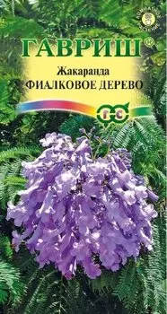 Жакаранда "Гавриш" Фиалковое дерево 3шт