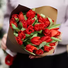 25 красных тюльпанов