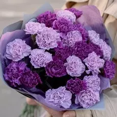 25 сиреневых (лунных) гвоздик