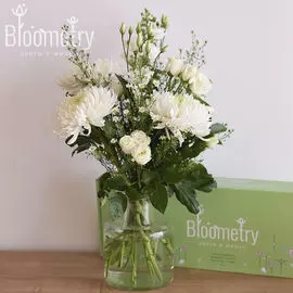 Bloometry Box «Фарфоровый этюд»