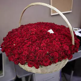 Композиция из 501 красной розы Premium 40 см в корзине