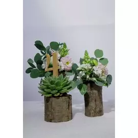 Композиция из суккулентов, лизиантуса и георгинов