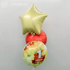 Набор шаров к 1 сентября