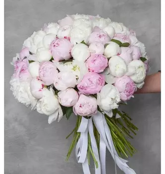 Букет-дуэт пионов "Нежность чувств" (51,75,101 или 151)