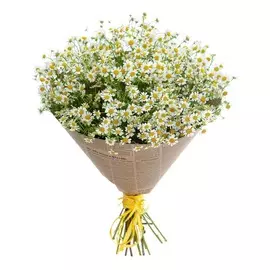 Букет "Дыхание нежности"