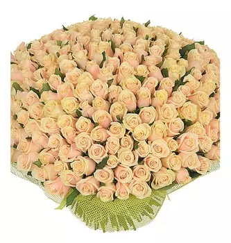 Букет из 251 кремовой розы "Совершенство"