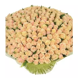Букет из 251 кремовой розы "Совершенство"