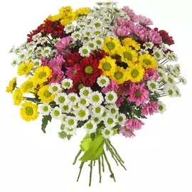 Букет-квартет "Цветное сияние" (15,25,35,51,75 или 101)