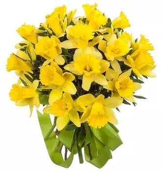 Букет "Лучик"