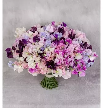 Букет "Очарование" (51,75,101 или 151 латирус). Букет цветов с доставкой по Москве.