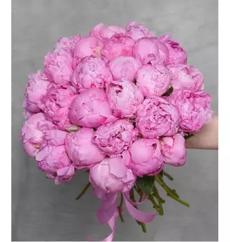 Букет-соло "Alexander Fleming" (15,25,35,51,75 или 101)