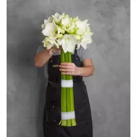 Букет-соло амариллисов "Mont Blanc" (5,7,9,15 или 25)