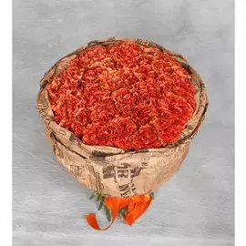 Букет-соло эксклюзивных гвоздик "Crazy Horse" (21,25,35 или 51)