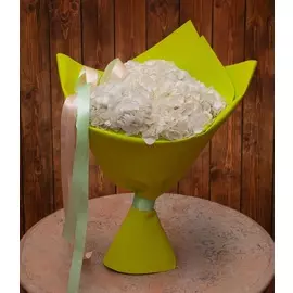 Букет-соло белых гортензий (5,7,9,15,25 или 35)