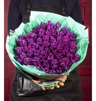 Букет-соло "Гиацинты Purple Star" (15,25,35,51 или 75)