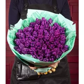 Букет-соло "Гиацинты Purple Star" (15,25,51 или 75)