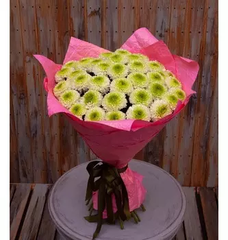 Букет-соло хризантем "Alibaba" (7,9,15,21,35 или 51)