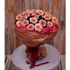 Букет-соло хризантем "Pip Salmon" (7,15,21,35 или 51)