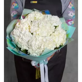 Букет-соло из белой гортензии (5,7,9 или 15)