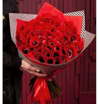 Букет-соло "Красные анемоны" (15,25,35,51,75 или 101)