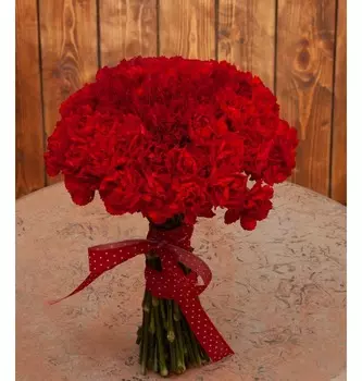 Букет-соло красных гвоздик (15,25,35,51,75 или 101)