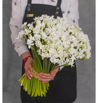 Букет-соло кустовых белых нарциссов (25,35,51,75 или 101)