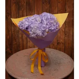Букет-соло лиловых гортензий (5,7,9,15,25 или 35)