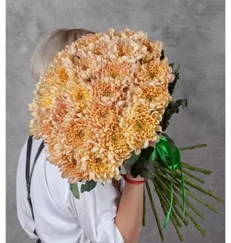 Букет-соло одноголовых хризантем Aljonka Salmon (15,21,25,35 или 51)