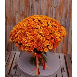 Букет-соло оранжевых хризантем (15,25,51,75 или 101)