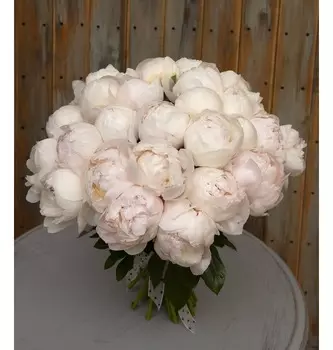 Букет-соло пионов "Duchesse" (15,25,35,51,75 или 101)