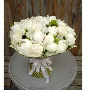 Букет-соло пионов "Duchesse de Nemours" (15,25,35,51 или 75)