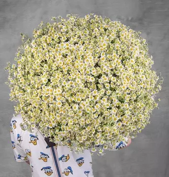 Букет-соло "Ромашки" (51,75,101 или 151)