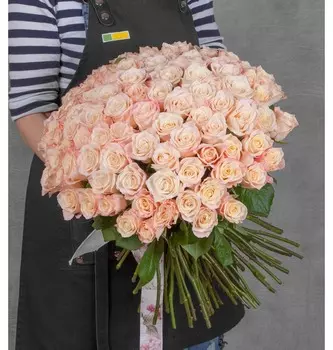 Букет-соло роз Medeo (25,35,51,75 или 101)