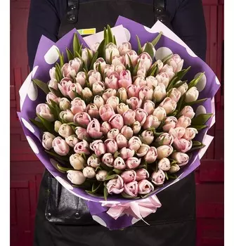 Букет-соло "Розовые тюльпаны" (25,51,75 или 101)