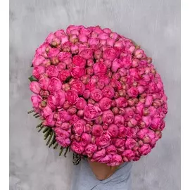 Букет-соло "Розы Pink Piano" (75 или 151)