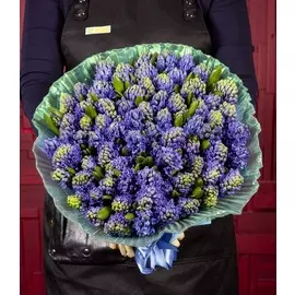 Букет-соло "Синие гиацинты" (15,25,35,51 или 75)