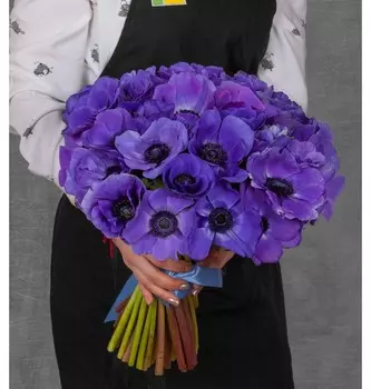 Букет-соло синих анемонов (15,25,35,51,75 или 101)