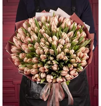 Букет-соло "Тюльпаны Thijs Boots" (15,25,35,51,75 или 101)