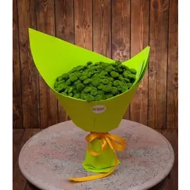 Букет-соло зелёных хризантем (15,25,35,51,75 или 101)