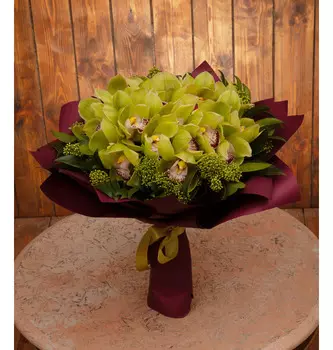 Букет-соло зелёных орхидей (15,25,35,51,75 или 101)