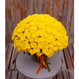 Букет-соло жёлтых хризантем (15,25,35,51,75 или 101)